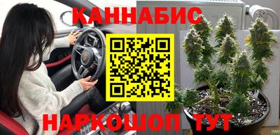 гидропоника Гай