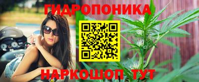 спайс Гатчина