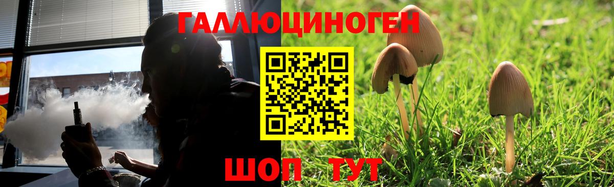 Псилоцибиновые грибы Psilocybine cubensis  Вход с VPN  Шелехов 